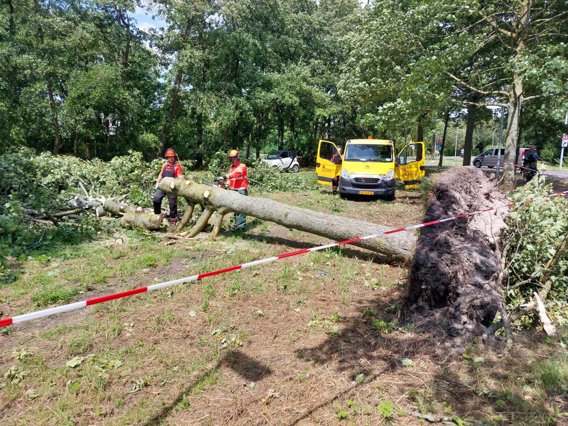opruimen-stormschade-poly-nog-in-volle-gang-hoorn-nog-enkele-weken